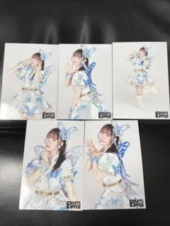 真中まな 生写真 5枚セット / Butterfly Edition 蝶衣装