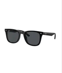 2026年最新】ray ban rb4391dの人気アイテム - メルカリ
