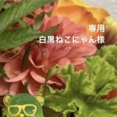 専用ページ 白黒ねこにゃん様