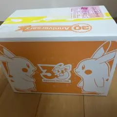 【新品未開封】はじまりのピカチュウ ぬいぐるみ 30周年