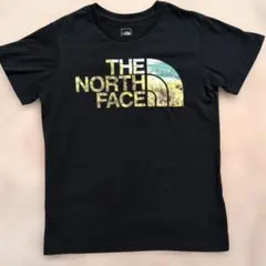 THE NORTH FACE ブラック Tシャツ Mのサムネイル