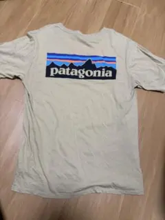 patagonia オーガニックコットン Tシャツ S