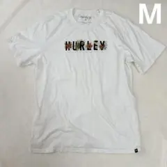 Item thumbnail for item f6e1a4e4-8608-430b-a2c8-515ff3ee5d26