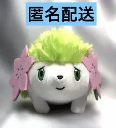 2026年最新】ポケモンセンター シェイミ ぬいぐるみの人気アイテム