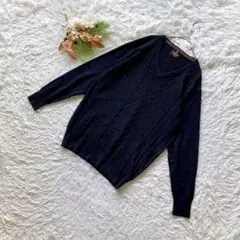 ✨未使用✨ (LL) Vネックニット セーター 長袖 ビックサイズ プルオーバー