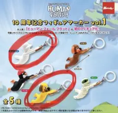 ヒューマンフォールフラット めじるしアクセサリー3種セット