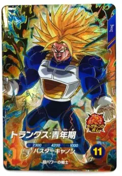 未使用　匿名配送　送料込　即購入OK　SDV5-016　トランクス:青年期