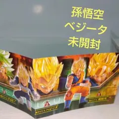 ドラゴンボールHG 孫悟空＆ベジータ