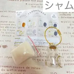 ＊うちの子けだまだま＊シャム＊ガチャ＊#Ｃ-pla限定＊