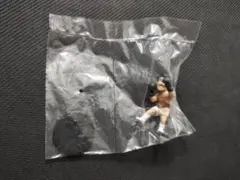 具志堅 用高　海洋堂 沖縄フィギュアみやげ　シーズン3 新版　未開封