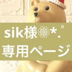 sik様❁⃘*.゜専用ページ