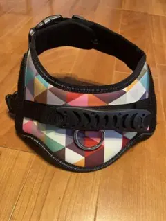 Item thumbnail for item 8e2576d8-b901-4821-9760-dd54f0cf61ff