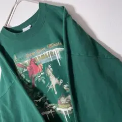 90s USA製 猫 XL~2XL トレーナー スウェット 緑 Animal