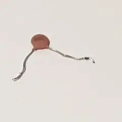 きぃ様 リクエスト 2点 まとめ商品