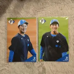 谷内亮太　写真