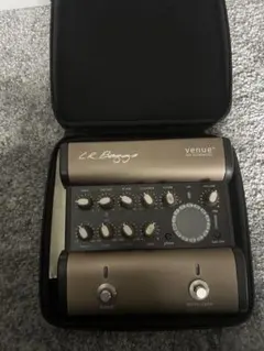 2026年最新】L.R.Baggs Venue DIの人気アイテム - メルカリ