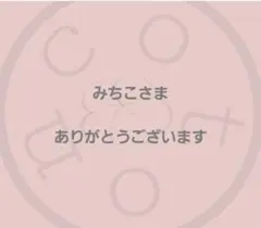 みちこさま専用ですᕷ˖٭