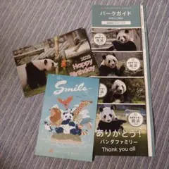 【非売品】パンダ ポストカードセット パンフレット付き