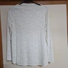 anyWise　アイボリー パターン入り 長袖Tシャツ　Lサイズ美品