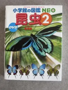 フィルム加工済！ 小学館の図鑑 NEO 昆虫 2 DVD未開封
