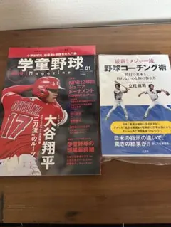 Item thumbnail for item 6c5d850a-8d56-484e-ab6e-b2ce3c01c9ac