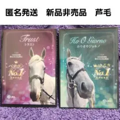 JRA 阪神競馬場 誘導馬カード 7枚セット - メルカリ
