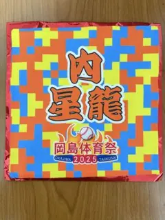 楽天イーグルス　岡島体育祭　ミニタオル　内星龍選手