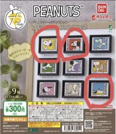 Peanuts フレームマグネット　ガチャ　3個セット