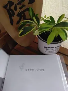 【yamyamMOM様ご予約品です】算命学教材【親縁占技】【格局法】上下巻 算命学ソフトで細かな命式まで最短2項目で出せると、もう無料のサイト