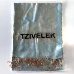 Item thumbnail for item 011d322e-fe95-4e59-a4e8-e42dc1d717f1