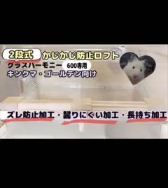 ハムスターロフト かじり防止 グラスハーモニー450 専用 - メルカリ