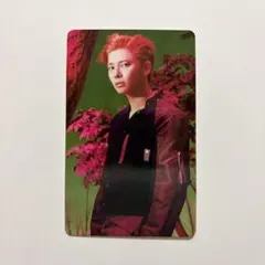 TXT 公式 7TH YEAR ユニバ 特典 トレカ テヒョン