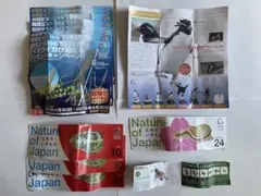 ネイチャーテクニカラー カプセルQミュージアム リーフレット まとめ売り