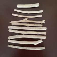 流木 約10本セット 小さな流木　No.61