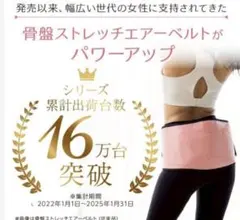 2025年最新】骨盤ストレッチエアーベルト psa-100の人気アイテム