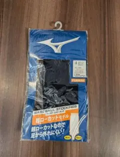 Item thumbnail for item 160aa934-1c8a-4068-ac0b-52e0053927b0