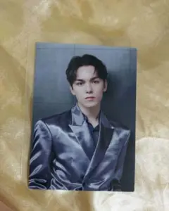 seventeen バーノン セブチ RIGHT HERE ライトダウントレカ