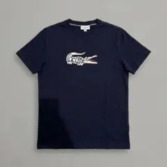 ラコステTシャツ