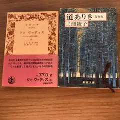 クオ　ヴァディス 道ありき 青春編