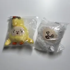 こびとづかん　ぬいぐるみ3 2個セット