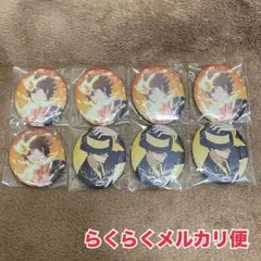 家庭教師ヒットマンREBORN メタルカンバッジ 沢田綱吉 リボーン 8点セット