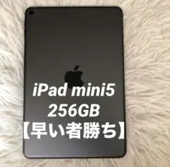 ［完動品］iPad mini5 256GB スペースグレー　Wi-Fiモデル