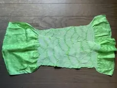 Item thumbnail for item 2b661d4e-6191-47a1-b6a7-0155ecf49512