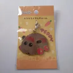puipuiモルカー キラキラメタルチャーム テディ