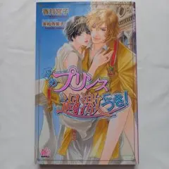 そのプリンス過激につき!　BL小説
