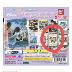 ディズニー　ミニクリアファイル
