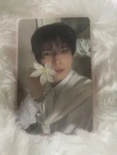 ヒスン タレントカード