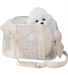 【訳あり品】犬 猫 ペットキャリーバッグ キャリーバッグ メッシュ　軽量のサムネイル