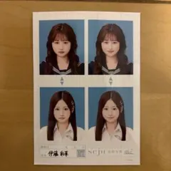 伊藤彩華 seju 証明写真 vol.2