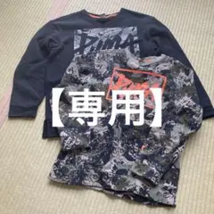 【専用】PUMA トレーナー XL・L 2枚セット